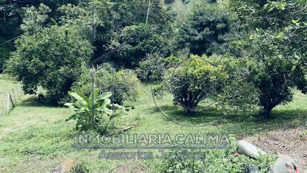 Finca Calimita